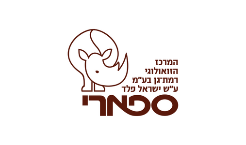 ספארי